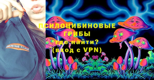 скорость Гусев