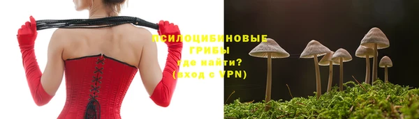 PSILOCYBIN Гусь-Хрустальный