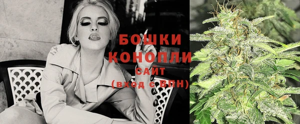 PSILOCYBIN Гусь-Хрустальный