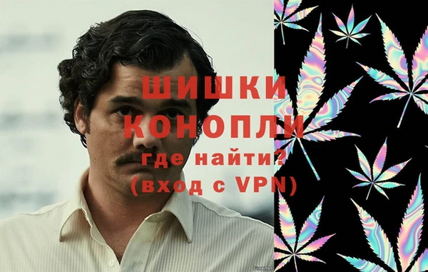 PSILOCYBIN Гусь-Хрустальный